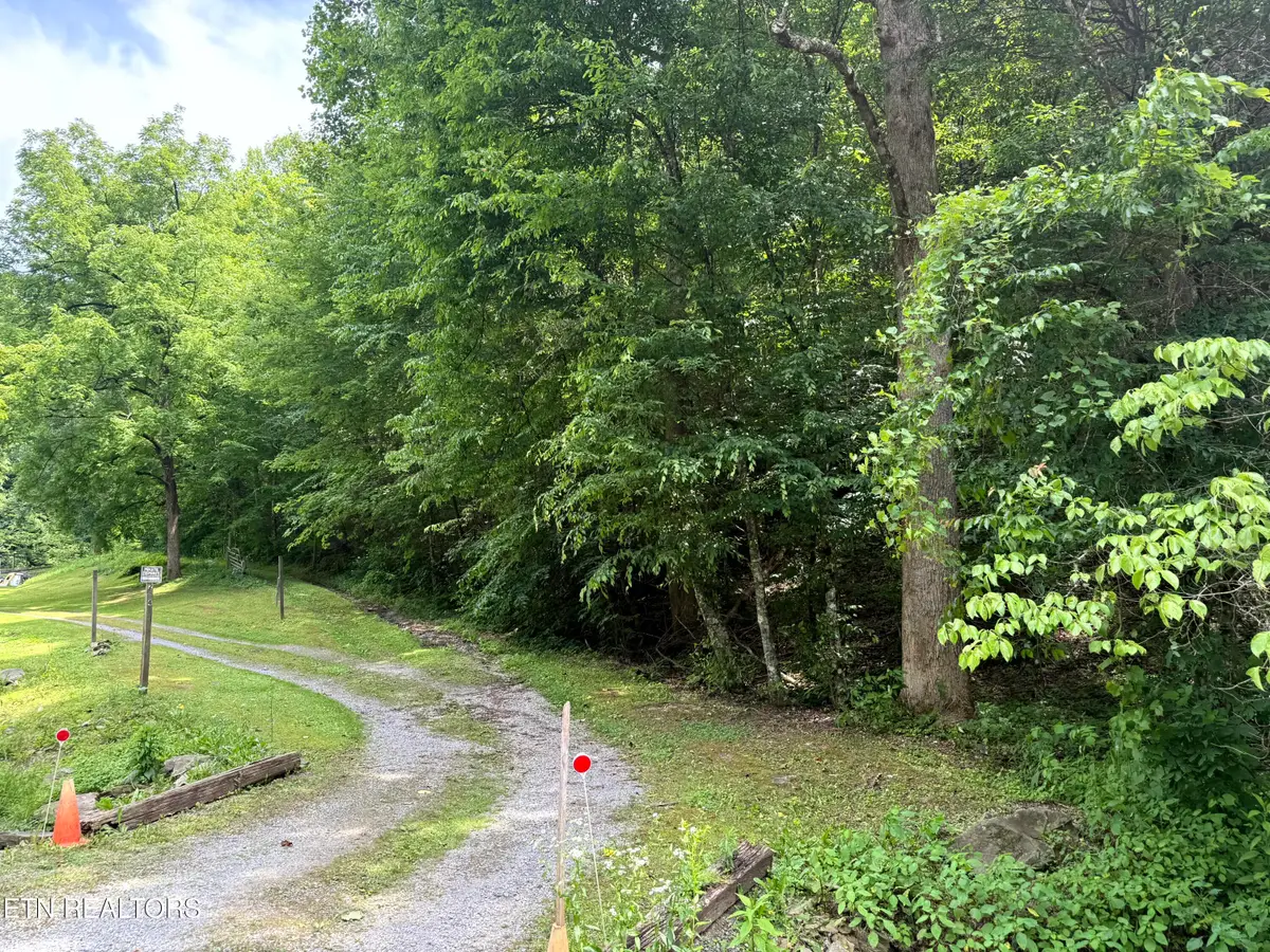 2110 Duck Pond Lane, Sevierville, TN 37876 - #1