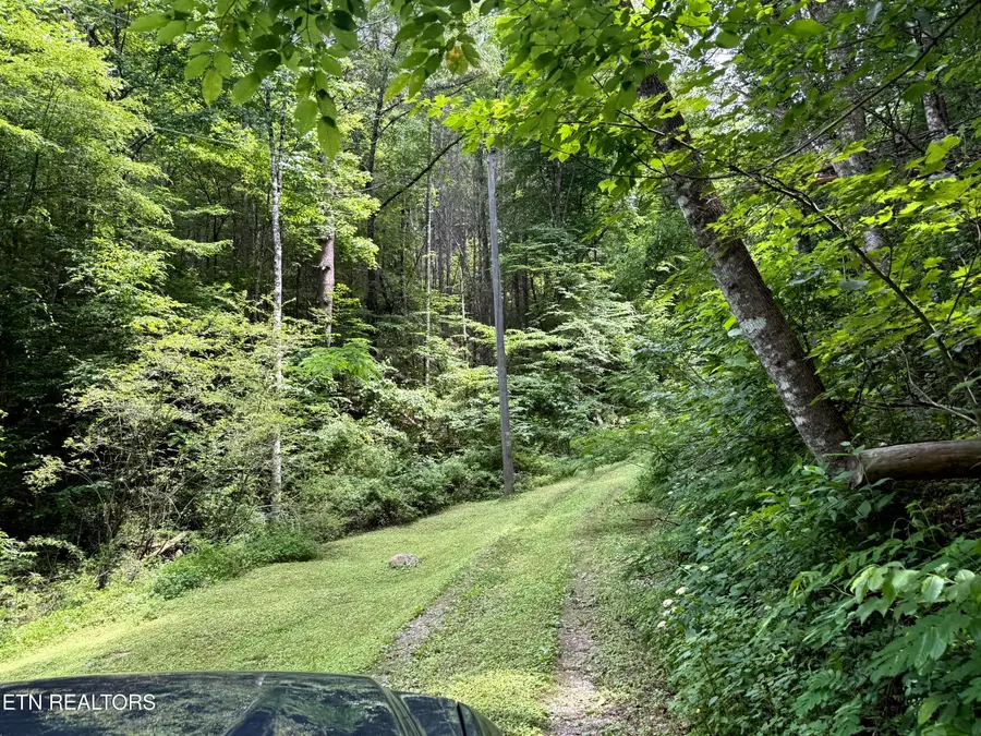 2110 Duck Pond Lane, Sevierville, TN 37876 - #3