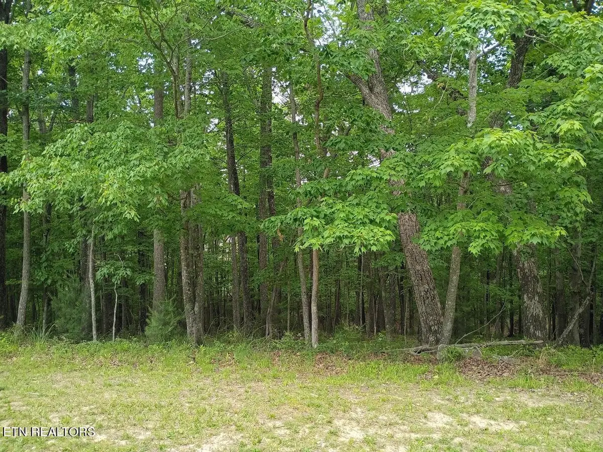 112 Brummel Way, Crossville, TN 38558 - #1