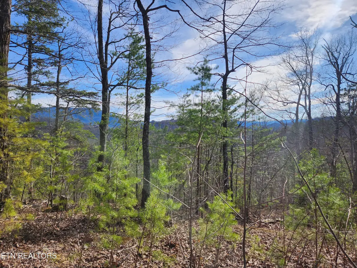Lot 46 Feld Wynde Close Way, Sevierville, TN 37862 - #1