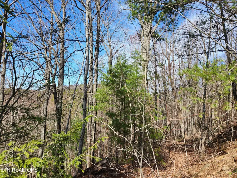 Lot 46 Feld Wynde Close Way, Sevierville, TN 37862 - #2