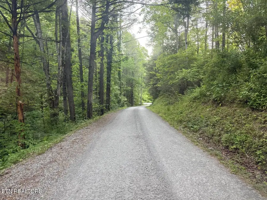 Big Four Rd, Lafollette, TN 37766 - #3