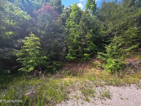Ashley, Maynardville, TN 37807
