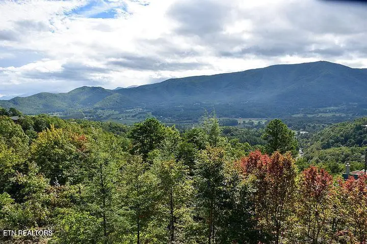 Hatcher Mtn Rd, Sevierville, TN 37862 - #2
