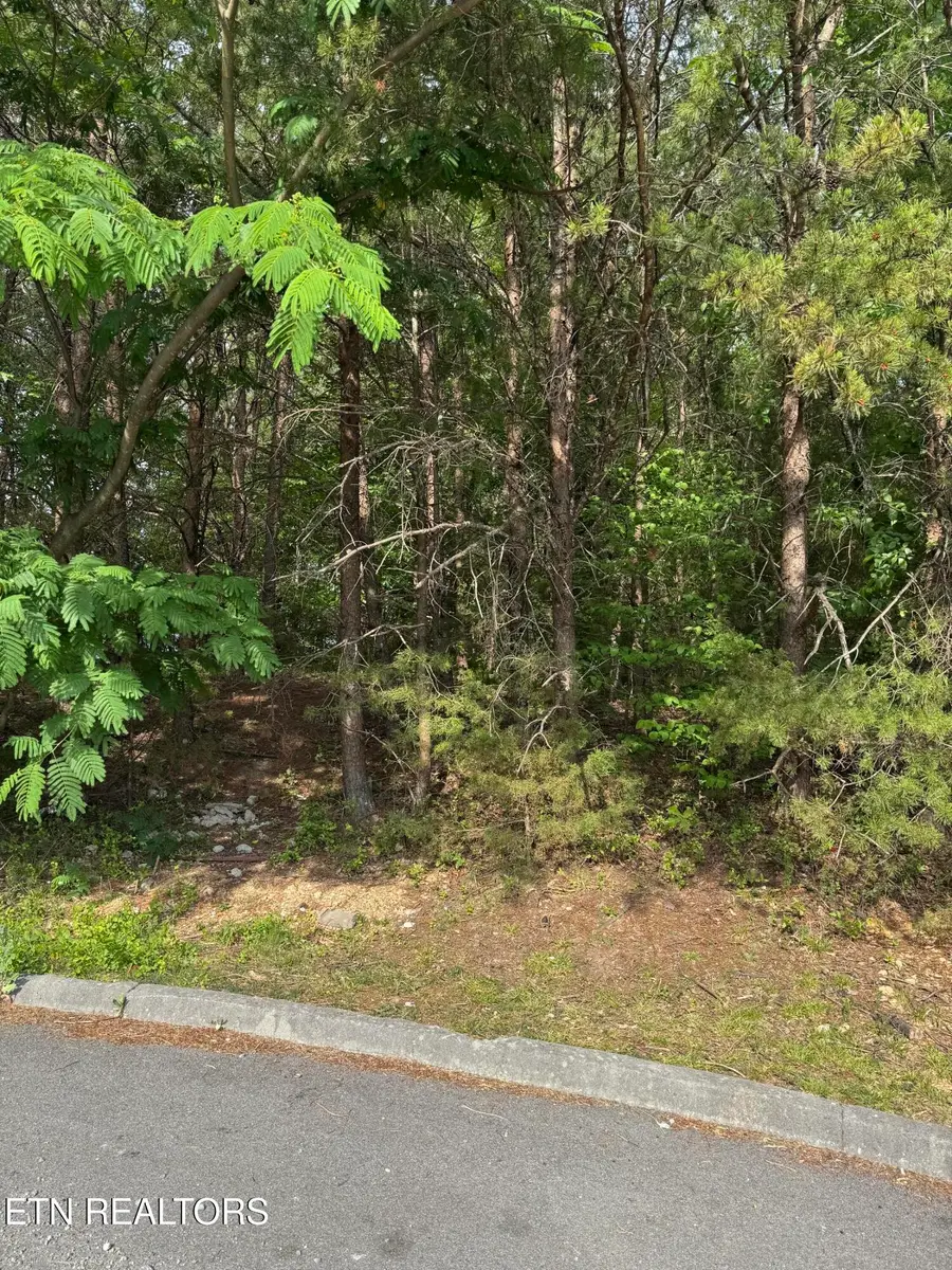 Seth Rd #14, Pigeon Forge, TN 37863 - #2