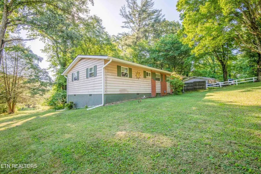136 Mimosa Ave, Rockwood, TN 37854 - #3