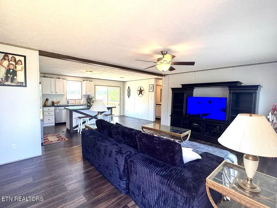 620 Pates Hill Rd, Mosheim, TN 37818 - #3