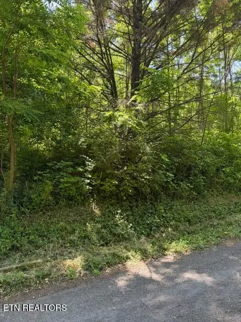 1635 Noe Circle, New Market, TN 37820 - #2