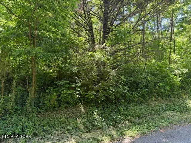 1635 Noe Circle, New Market, TN 37820 - #3