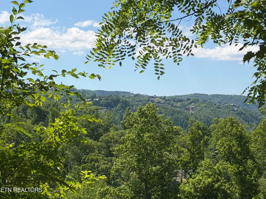411 Abrams Falls Way, Gatlinburg, TN 37738 - #2