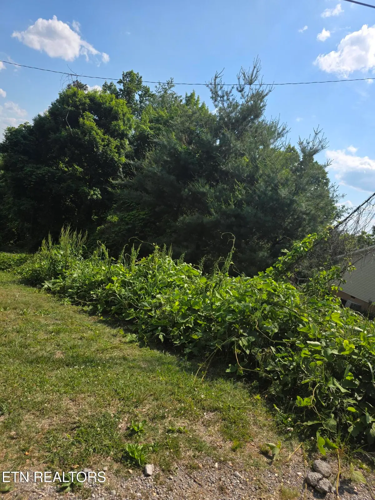 Gregory Lane, Maynardville, TN 37807 - #1