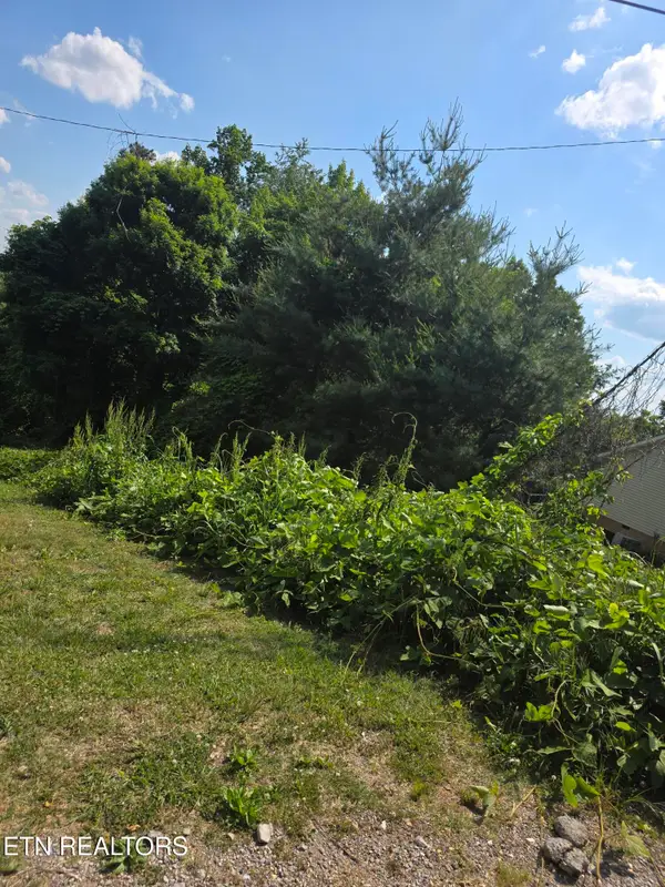 Gregory Lane, Maynardville, TN 37807