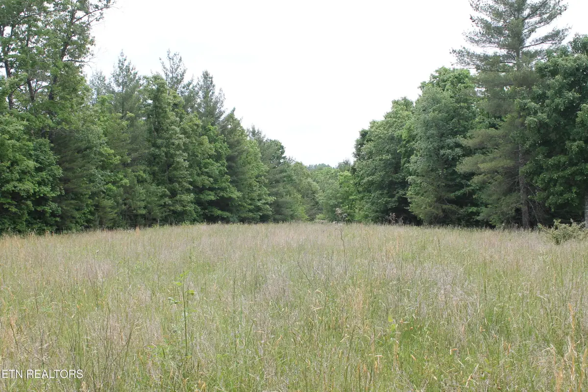 232 Wright Cemetery Rd, Allardt, TN 38504 - #1