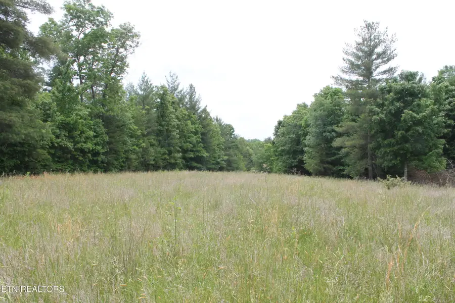 232 Wright Cemetery Rd, Allardt, TN 38504 - #2