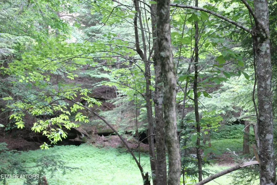 232 Wright Cemetery Rd, Allardt, TN 38504 - #3