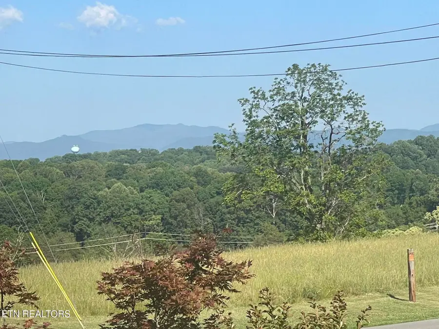 187 Brandonwood Drive, Johnson City, TN 37604 - #3