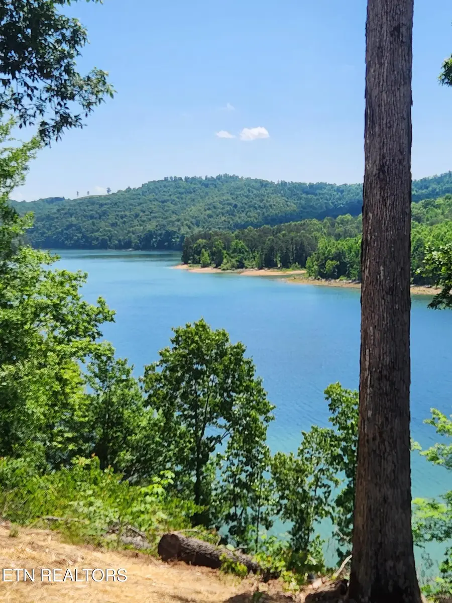 155 Island Rd, New Tazewell, TN 37825 - #2