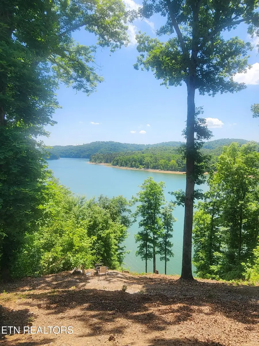 155 Island Rd, New Tazewell, TN 37825 - #3