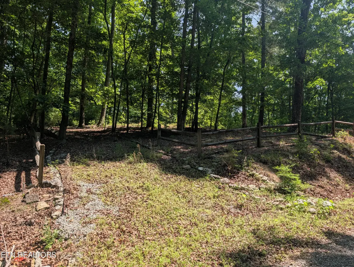 190 Fawnwood Drive, Spring City, TN 37381 - #1