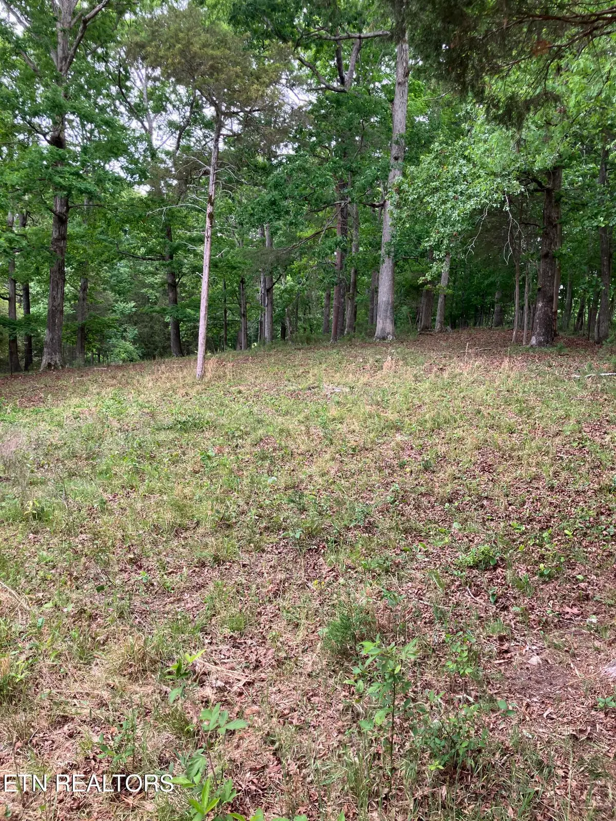 26450 Stockton Valley Rd, Philadelphia, TN 37846 - #1