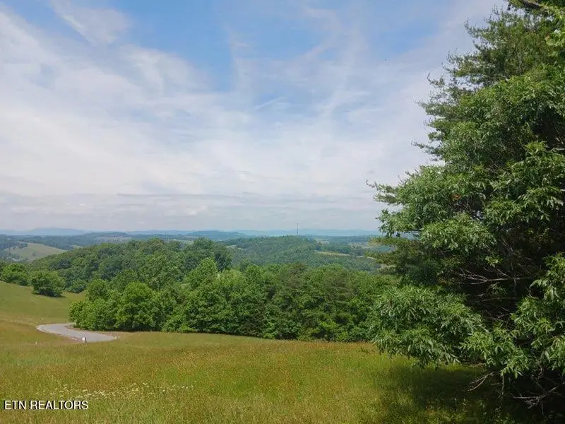 Lot 28 Topaz Lane, New Tazewell, TN 37825 - #1