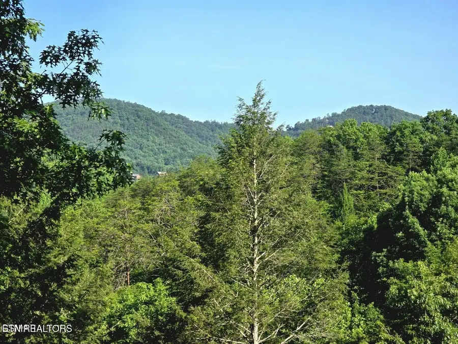 2011 Ridgecrest Loop Lane, Sevierville, TN 37876 - #3