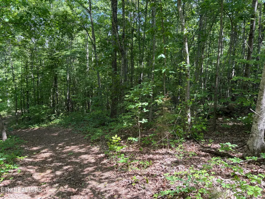 Tallent Lane, Vonore, TN 37885 - #2