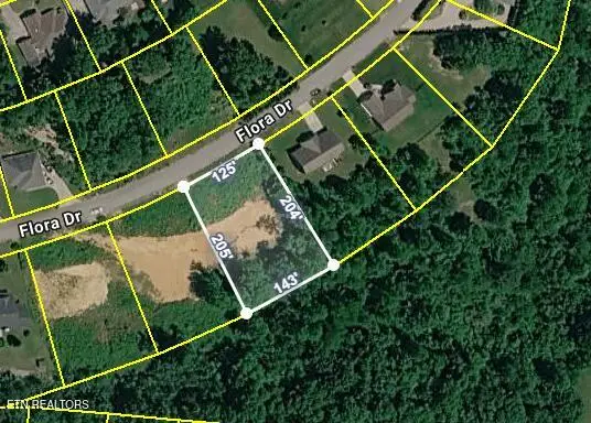 390 Flora Drive, Lenoir City, TN 37771