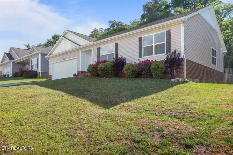 2109 Bluebonnet Drive, Mascot, TN 37806 - #3