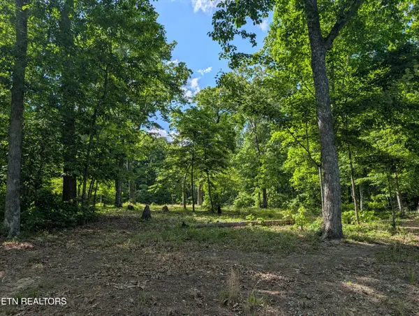 Lot 94/95 Red Oak Lane, Spring City, TN 37381