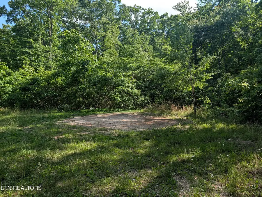Lot 94/95 Red Oak Lane, Spring City, TN 37381 - #3