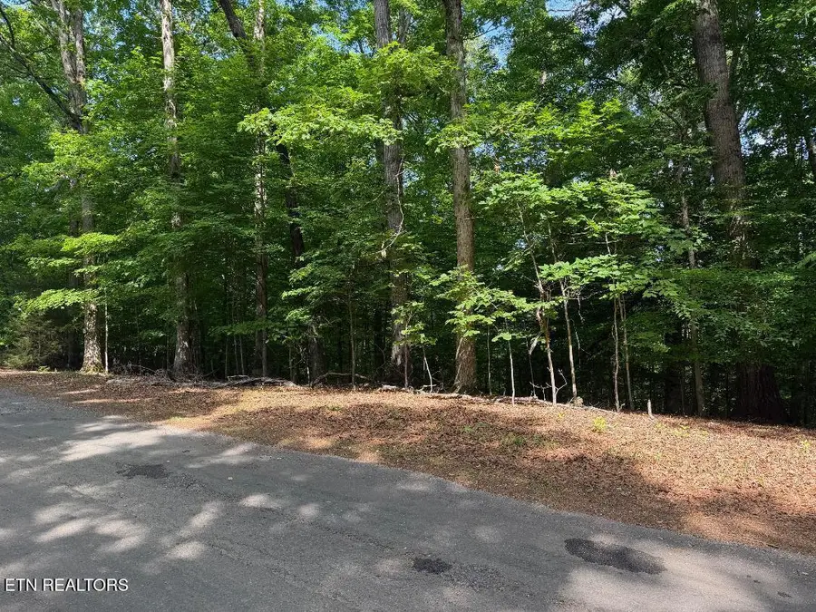 Beechwood Drive #002, Dandridge, TN 37725 - #2