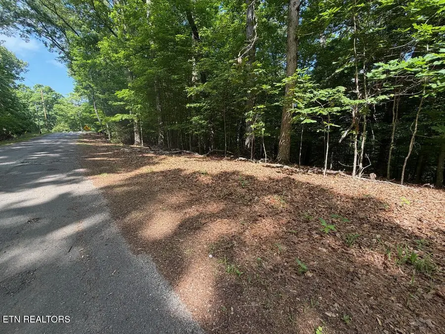 Beechwood Drive #002, Dandridge, TN 37725 - #3