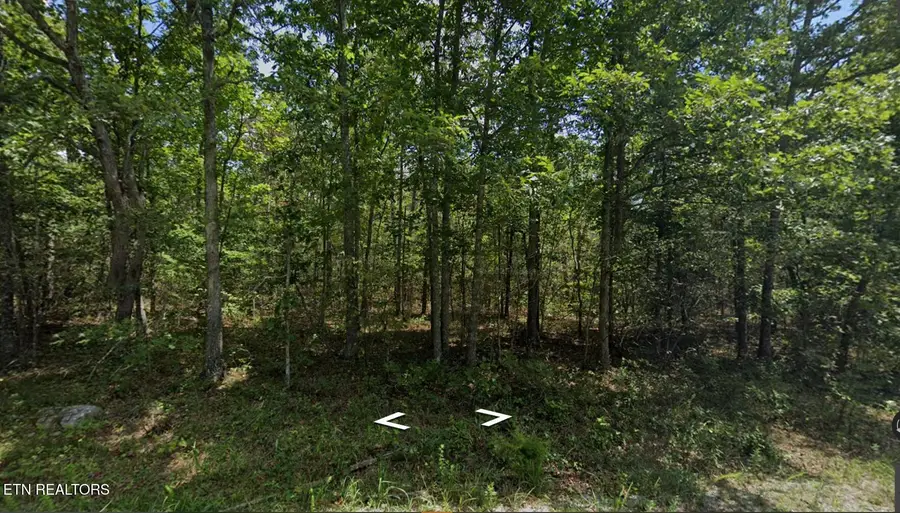 2015 Winnebago Drive, Crossville, TN 38572 - #3