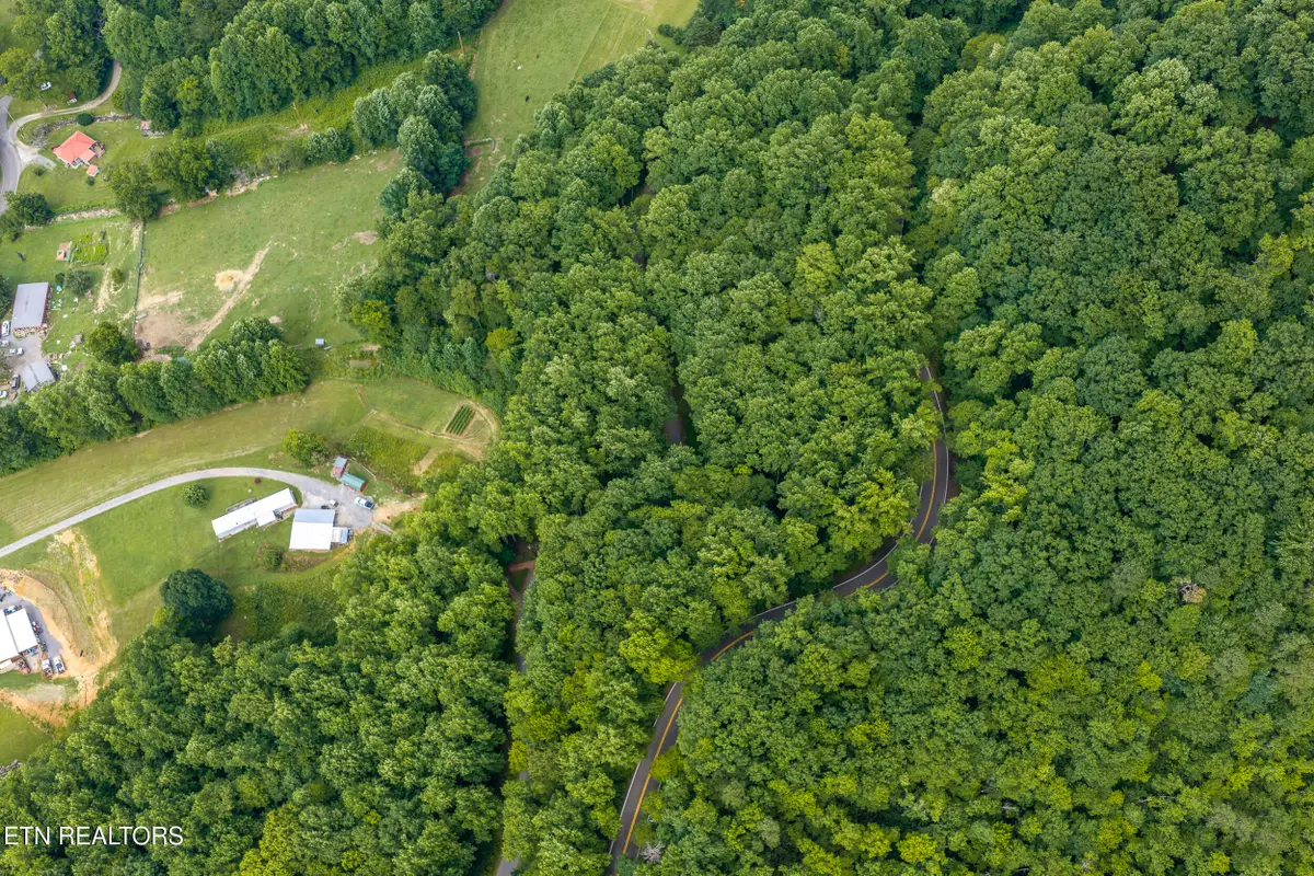 Emilyville Way, Cosby, TN 37722 - #1