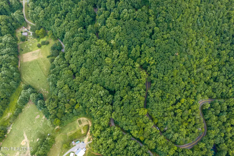 Emilyville Way, Cosby, TN 37722 - #3