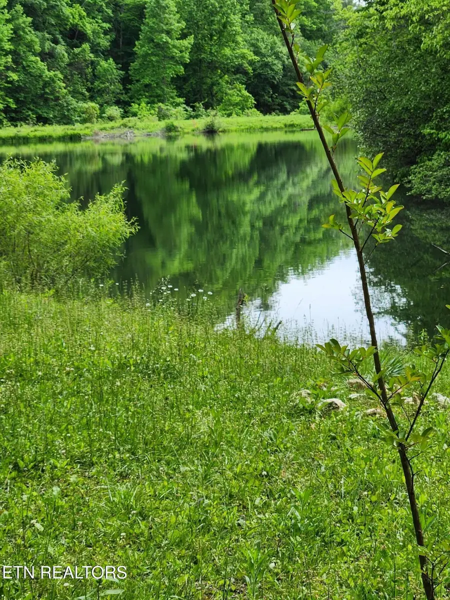 380 Seng Garden Rd, Tellico Plains, TN 37385 - #2