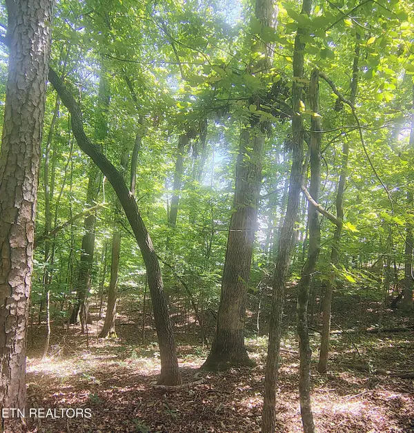 138 Stooksbury Lane, Andersonville, TN 37705