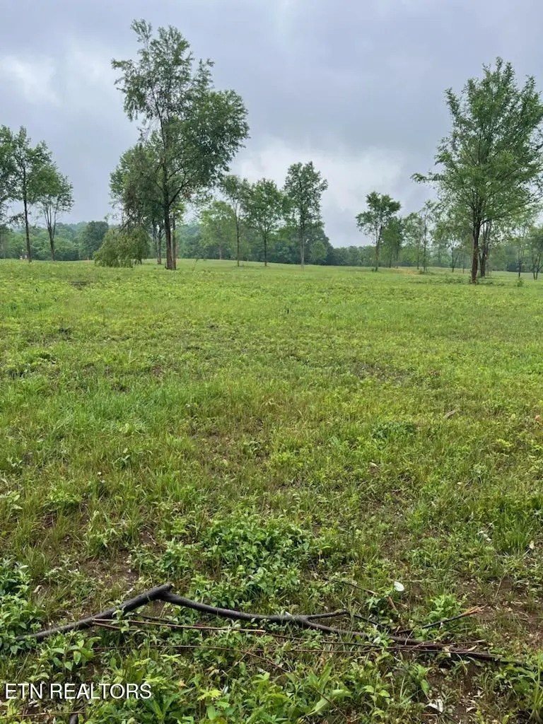 Stone Mill Rd Lot 2, Jacksboro, TN 37757 - #2