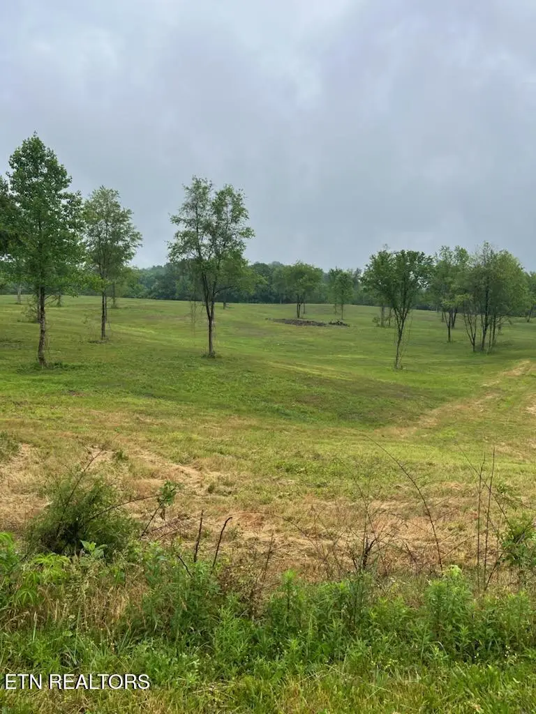 Stone Mill Lot 1 Rd, Jacksboro, TN 37757 - #1