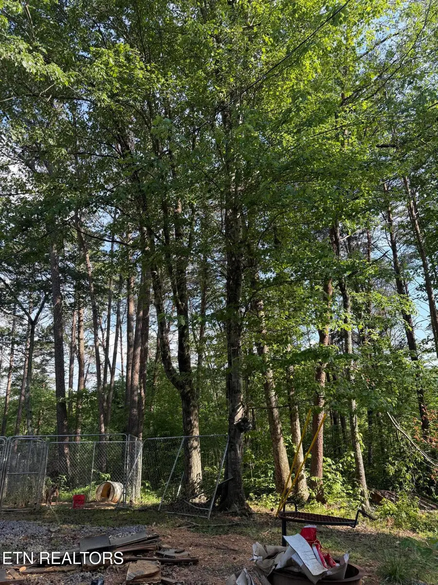 180 Mountain Rd, Tellico Plains, TN 37385 - #2