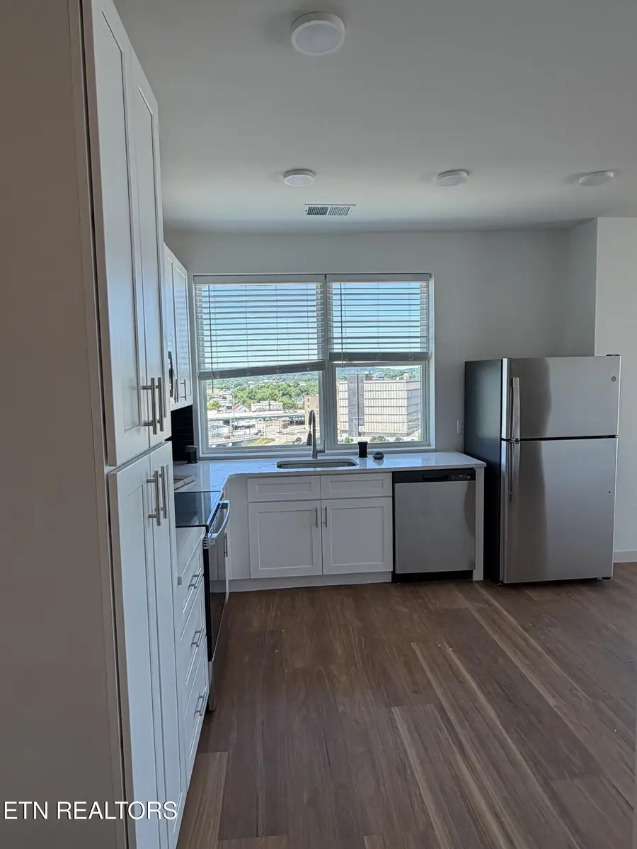 515 Cafego Place #501, Knoxville, TN 37902 - #2