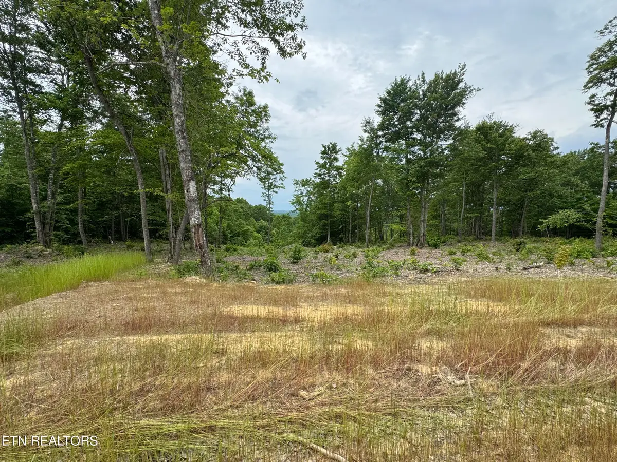 Sheep Ranch Rd, Robbins, TN 37852 - #1