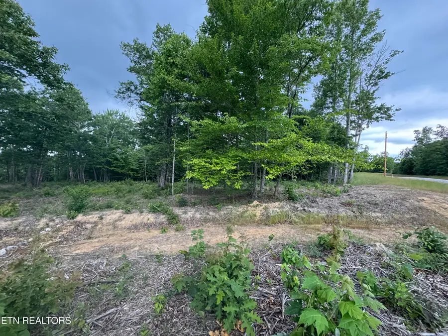 Sheep Ranch Rd, Robbins, TN 37852 - #2