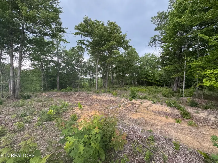 Sheep Ranch Rd, Robbins, TN 37852 - #3