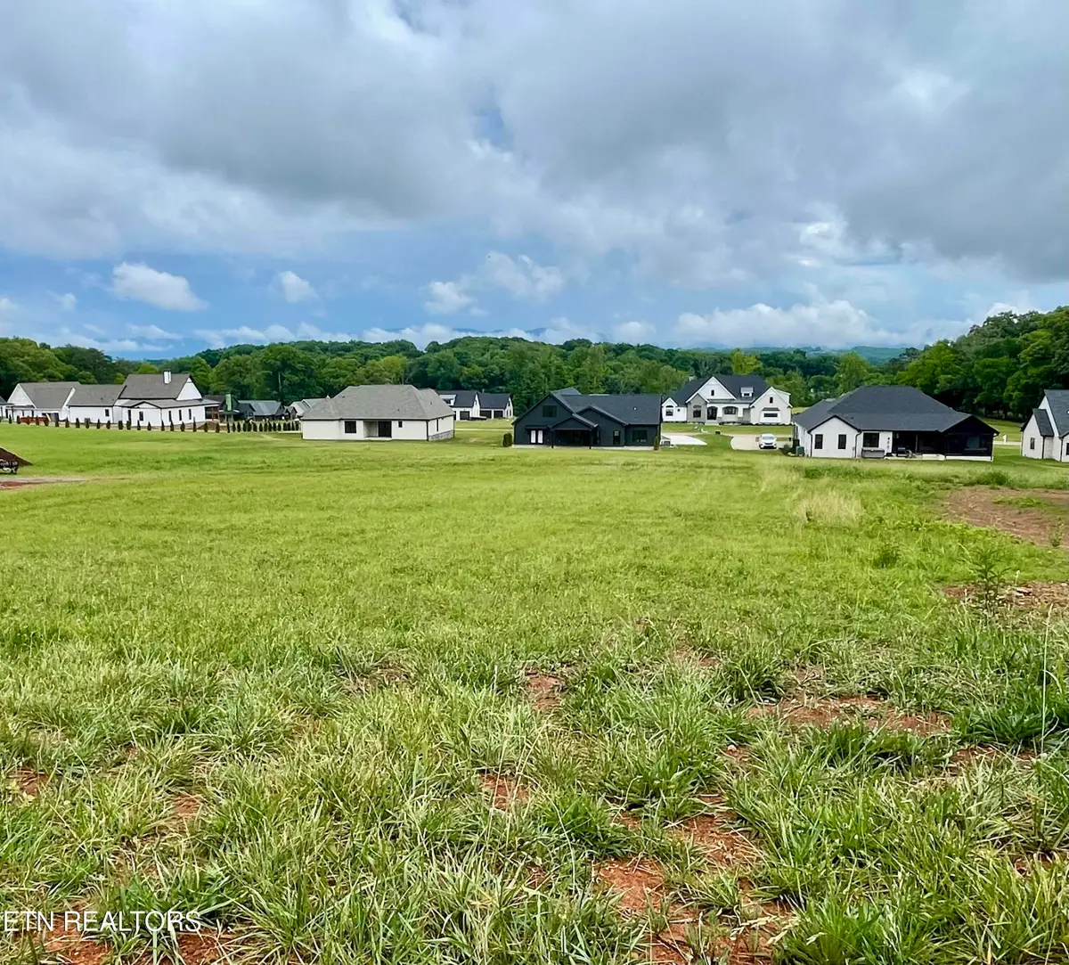 1234 Kellys View Drive, Greenback, TN 37742 - #1