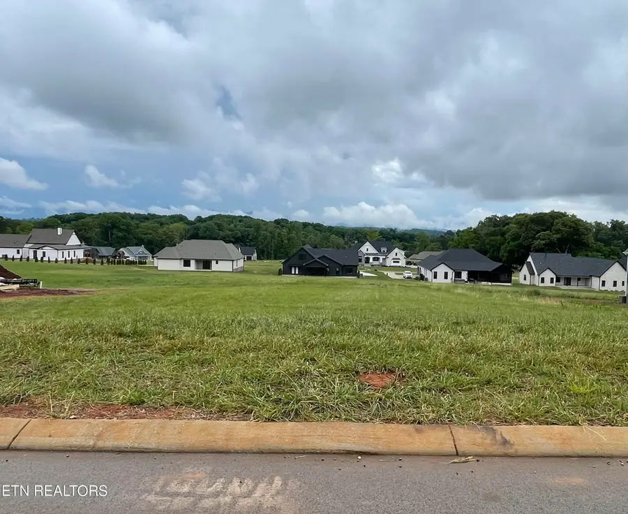 1234 Kellys View Drive, Greenback, TN 37742 - #2