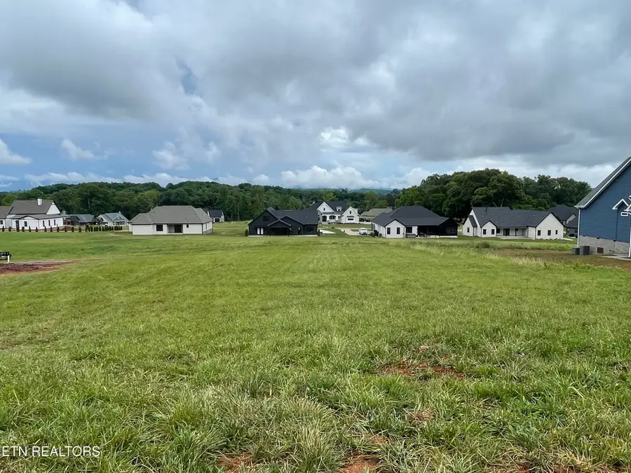 1234 Kellys View Drive, Greenback, TN 37742 - #3