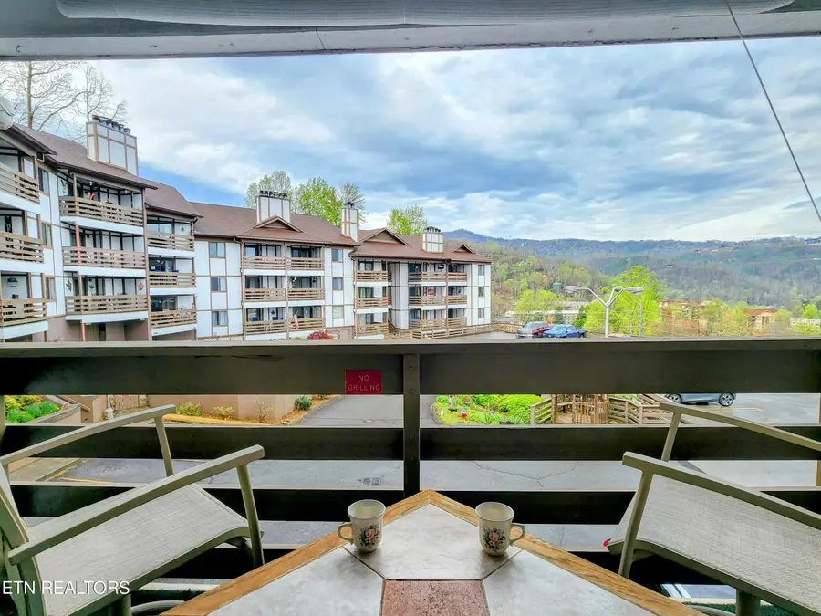 616 Turkey Nest Rd #APT 205, Gatlinburg, TN 37738 - #2