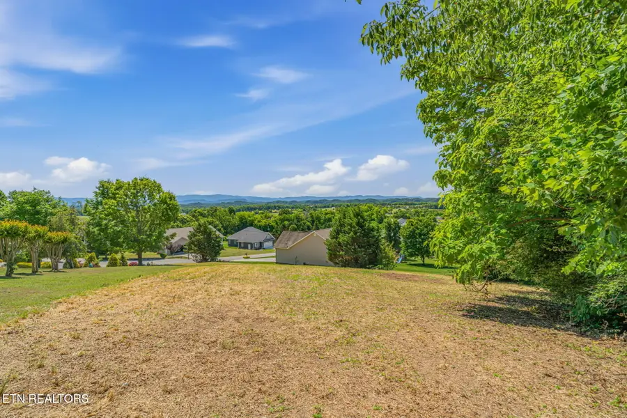 165 Cold Creek Rd, Madisonville, TN 37354 - #3